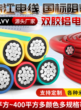 珠江国标blvv双皮铝芯电线10/16/25/35/50/70/95/120平方铝电缆线