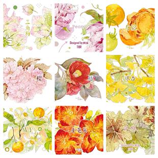 基研所分装和纸pet胶带霍莉的花园夜游症樱芍药银杏三角梅椿