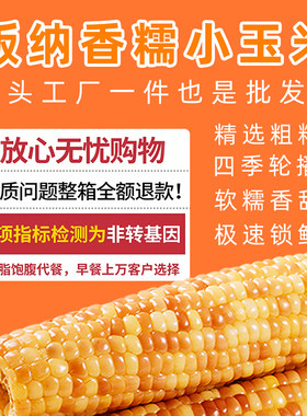 西双版纳香糯小玉米即食真空装