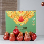 春节不打烊 7·15枚3斤顺丰空运 南鹿一号有机莲雾新鲜水果家庭装