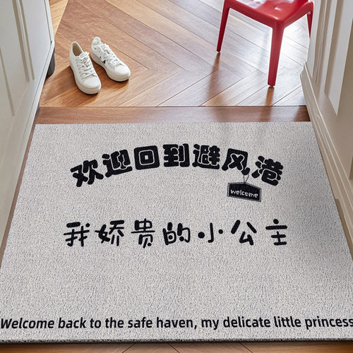 2025新款入户门地垫丝圈