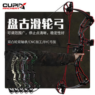 2024新款盘古复合弓滑轮弓非两用纯射箭专用户外射箭竞技高端猎弓