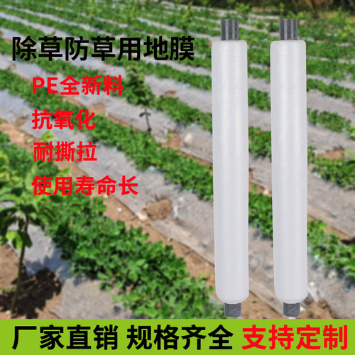 保温大棚种植除草塑料薄膜耐拉扯