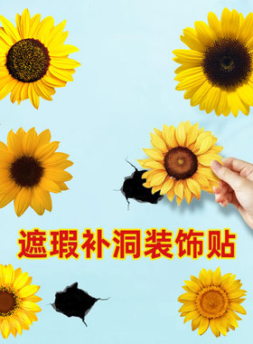 不透明莲花荷花墙面窟窿遮挡贴天花板吊顶裂痕墙贴防水自粘贴画