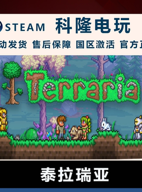 PC官方中文正版steam平台国区泰拉瑞亚Terraria全新成品账号