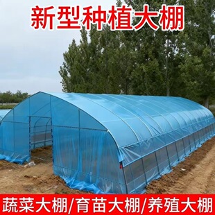 大棚骨架钢管温室种植棚全套定制养殖大棚蔬菜大棚猪舍牛棚羊圈