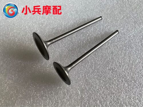 适用BMW宝马G310GS G310R气门汽门锁片 精品