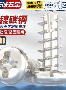 PT镀镍十字圆头割尾自攻螺丝盘头平尾电子螺钉M2M2.3M2.6M3M3.5M4