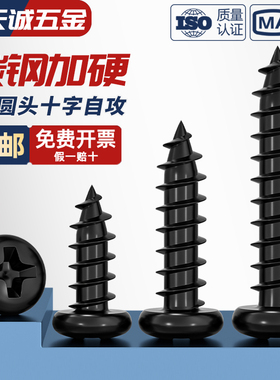 PA 加硬铁碳钢黑色圆头电子小螺钉十字盘头自攻螺丝M1M2M3M4M5mm