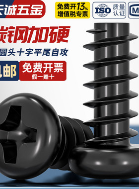 PB加硬铁碳钢黑色圆头十字平尾自攻螺丝盘头小螺钉M1M1.2M2M3M4mm