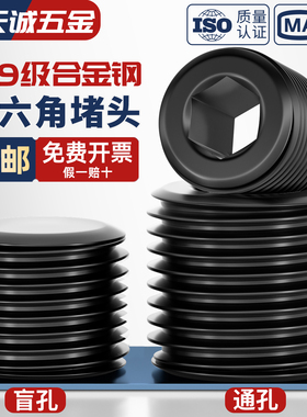 12.9级通孔盲孔合金钢内六角堵头/油塞/丝堵/油堵/喉塞PT/NPT1/16