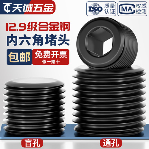 12.9级通孔盲孔合金钢内六角堵头