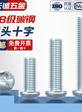 碳钢4.8级镀锌十字槽铁盘头螺钉大/圆头螺丝MM3M4M5M6M8 GB818-85