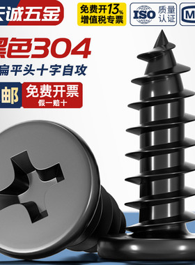 CA 黑色304不锈钢 扁平头十字自攻螺丝 大薄头子平头尖尾沉头螺钉
