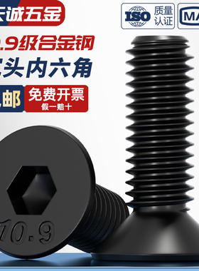 10.9级高强度沉头平头内六角螺丝平杯螺栓螺钉M2M3M4M5M6M8M10M12