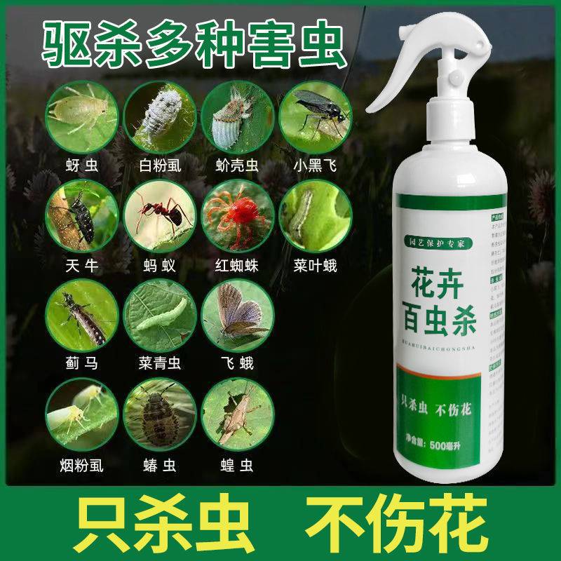杀虫剂花卉植物杀菌剂营养液红蜘蛛蚧壳虫蚜虫小黑飞家用除灭花药