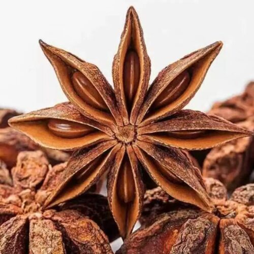 新货特级无硫大红八角广西大料新货优质纯干茴香五香香料辛料
