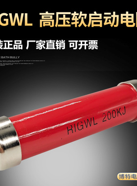 RIGWL 高压软启动器电阻 耐压电阻 均压电阻 100W 200K J 100KG
