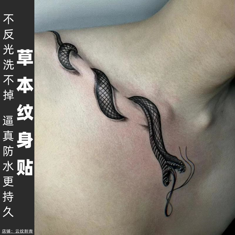 【两张】草本纹身贴半永久不反光防水持久男女锁骨蛇可左右一对