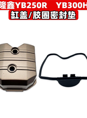 隆鑫YB300H YB250R发动机气缸盖 缸头盖垫子密封胶圈卒玛恒舰华洋