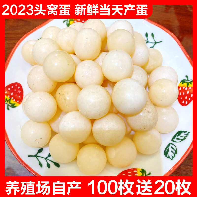 甲鱼蛋王八蛋新鲜头窝蛋