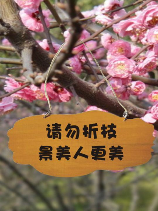 挂牌防水防晒民宿庭院复古木挂牌