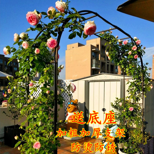 拱门花架花架繁花町工厂直销