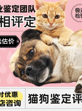 宠物鉴定师咨询师小狗猫咪品种品相鉴定估价挑选柴犬边牧布偶德文
