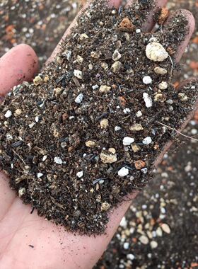 30的软颗粒+30硬颗粒+40泥碳土 多肉植物通用发根快上色好服盆快2