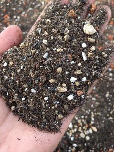 40泥碳土 30硬颗粒 多肉植物通用发根快上色好服盆快2 软颗粒
