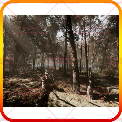 UE5虚幻5松树Pine forest Photogrammetry based High poly Biome