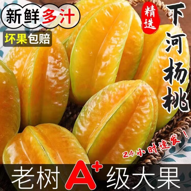 下河甜杨桃整箱包邮新鲜洋桃孕妇水果当季树上熟现摘多汁五角星