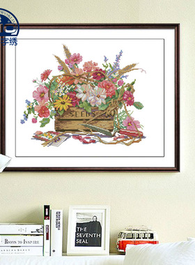 DMC十字绣套件  客厅 卧室 精准印花 Dimensions 00249