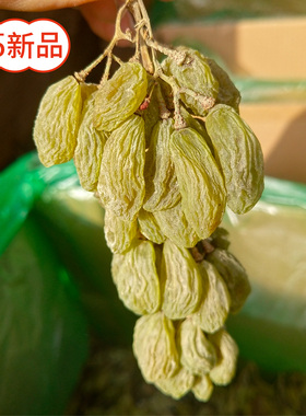 皮妈产地优选带枝原粒北极王葡萄干吐鲁番核心产区原状原色原味