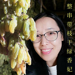 绿香妃葡萄干核心产区吐鲁番鄯善无添加孕妇零食生态带枝干500克