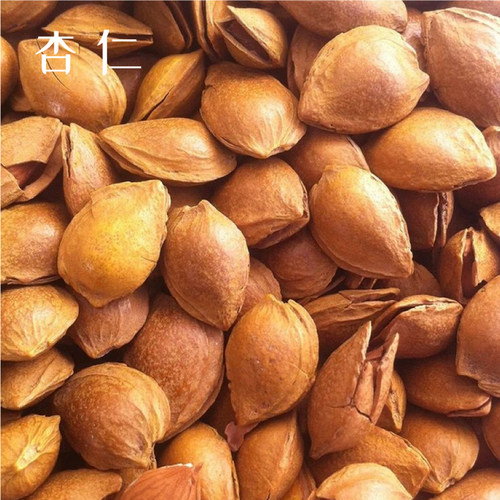 新疆特产干果开口笑小白杏核500克满2件包邮坚果零食五香手剥杏核