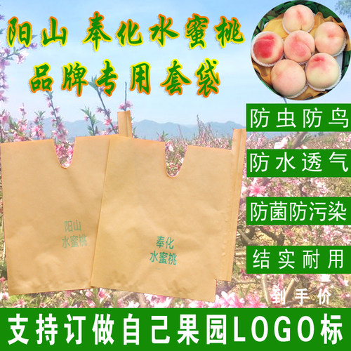 天正奉化水蜜桃专用袋防水防虫