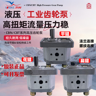 F306 F304 F310 325液压站油泵现货 E316 320 E314 万科齿轮泵CBN