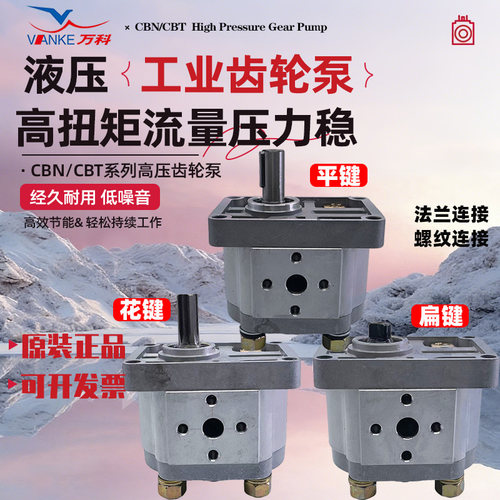 万科高压齿轮泵机床液压站工程泵