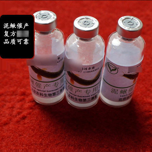 台湾泥鳅催产剂催产素 台鳅催产繁殖用品台湾鳗鳅繁殖专用激素HCG