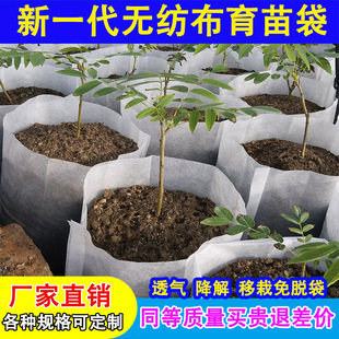 无纺布育苗袋树苗营养盆加厚柑橘育苗杯可降解种植袋一次性营养钵