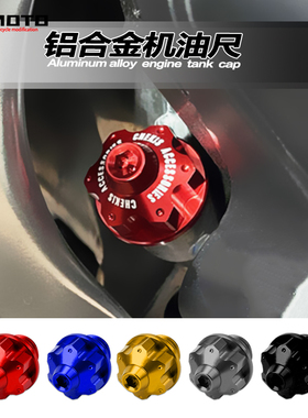 三阳TL500 tl508 MAXSYM400i/600i JOYRIDE200i 改装防盗机油尺