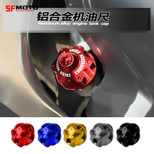 三阳TL500 tl508 MAXSYM400i/600i JOYRIDE200i 改装防盗机油尺