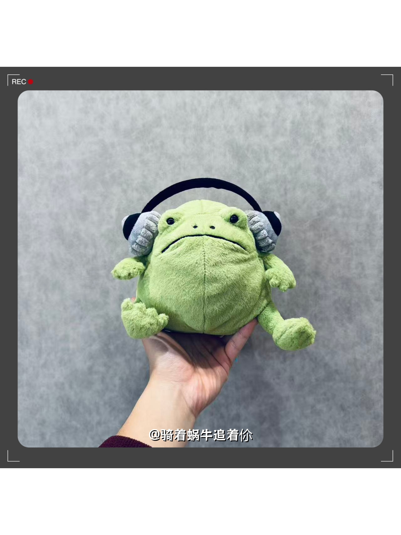 绝版现货英国Jellycat趣味耳机雨蛙毛绒玩偶张柏芝同款正品可选脸