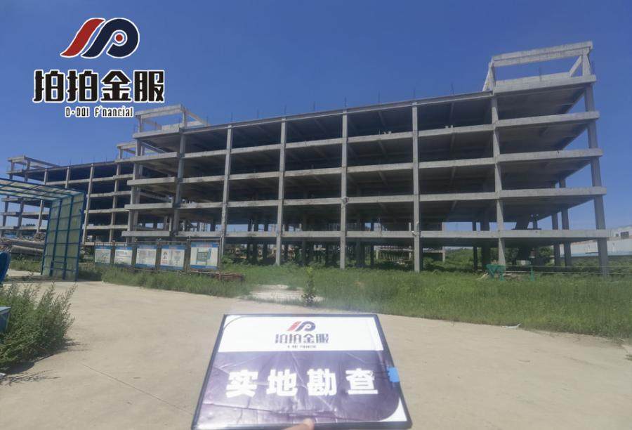 2月5日南阳土地使用权、地上在建工程5处、地上简易房3处及地上附属物4处网络拍卖公告