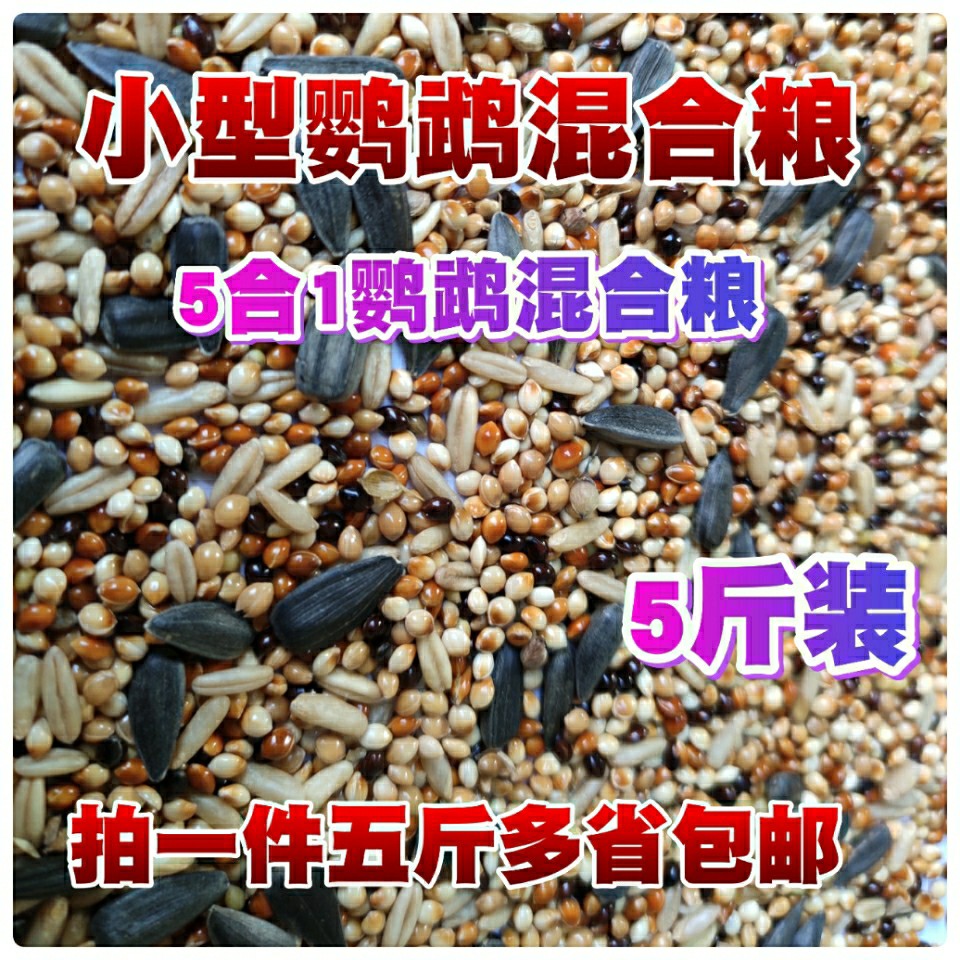 鹦鹉粮黄谷子黍子红谷5合1虎皮小型鹦鹉粮鸟粮鸟食鸟饲料5斤包邮|msdalam kategori haiwan peliharaan/makanan haiwan dan bekalan, Burung dan bekalan, burung - dari Buy2taobao.com untuk memberikan perkhidmatan ejen Taobao profesional membeli