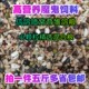 鸽粮魔鬼饲料信鸽粮斑鸠粮食鸽子饲料幼鸽食物营养粮斑鸠食喷窝粮