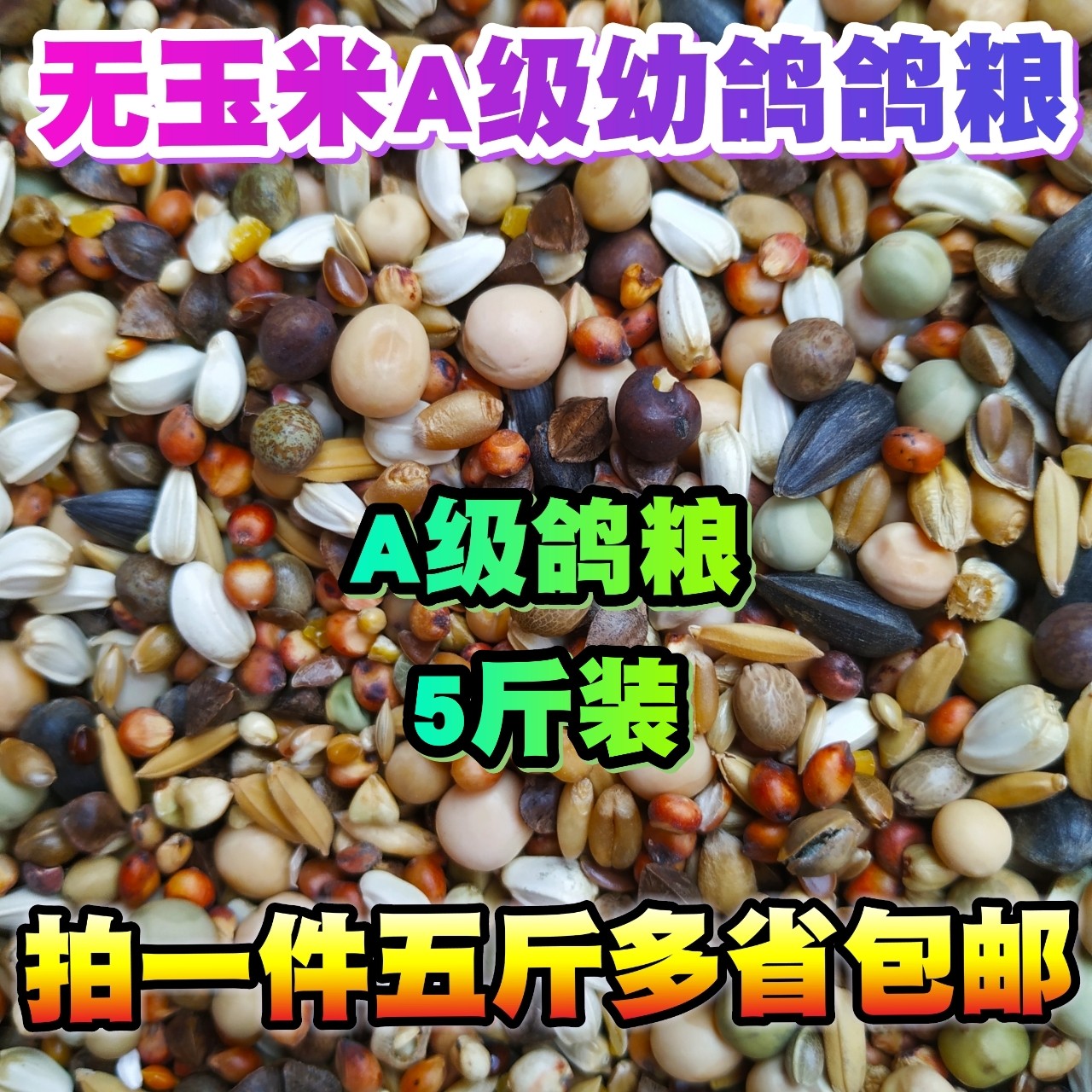 鸽粮A级无玉米幼鸽粮 鸽子饲料鸽粮5斤 包邮肉鸽粮观赏鸽鸽饲料粮