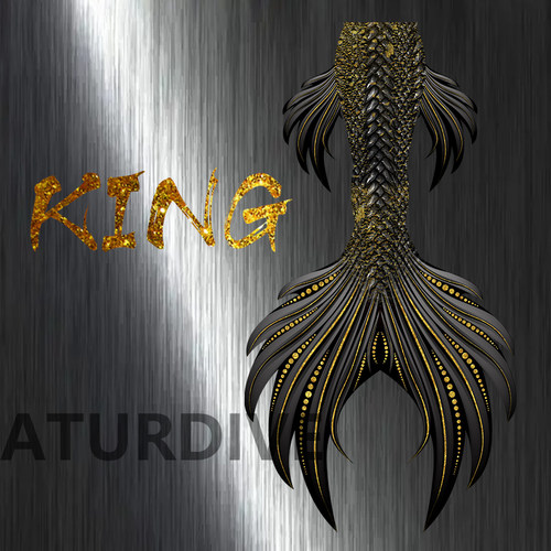 AturDive king大型男士女士专业立体美人鱼尾皮表演ssi padi课程