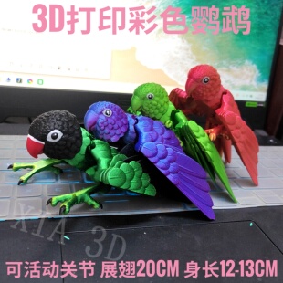 3d打印玩具彩色鹦鹉仿真小鸟可活动关节手办摆件装饰儿童新年礼物